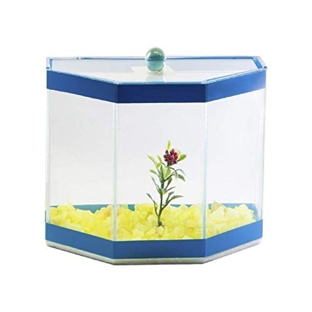 Aquário Betteira Omega Decorada 1