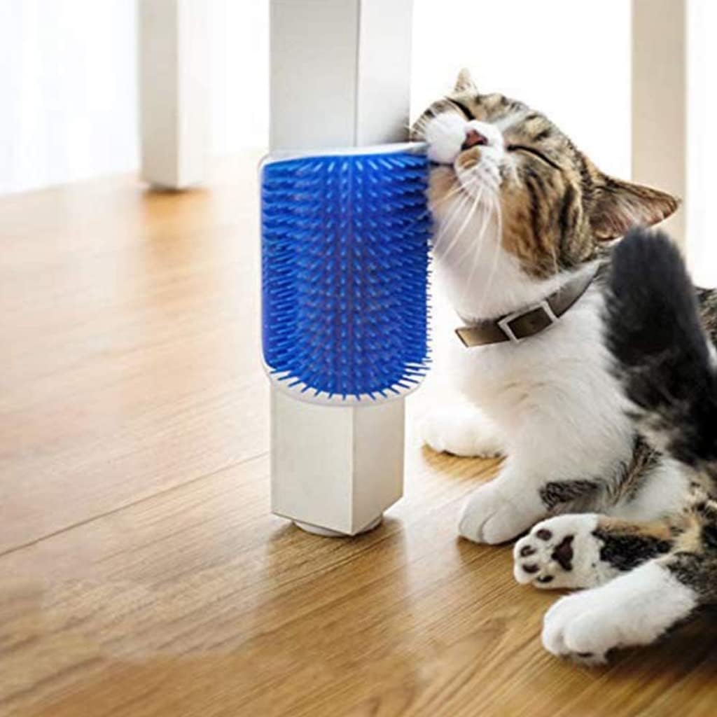 Coça Gato com Catnip 2