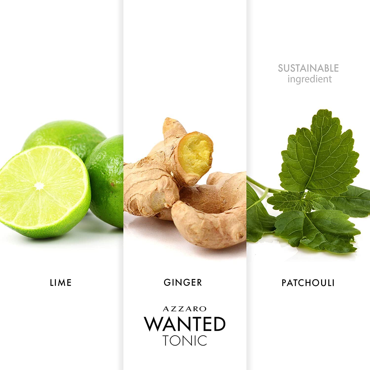 Wanted Tonic 2