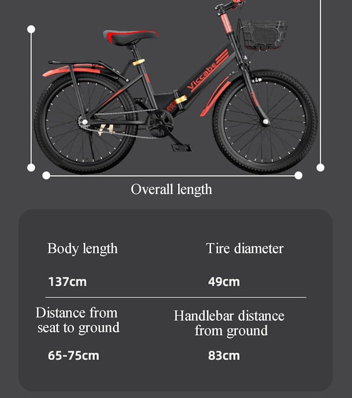 Bicicleta Viccabe 2