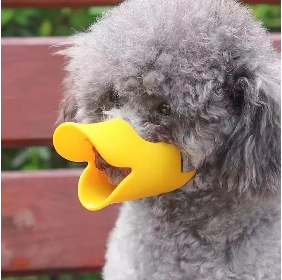 Focinheiras Bico de Pato de Silicone 3