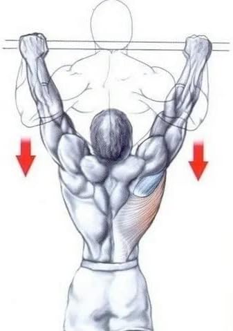 Barra Fixa Parede Crossfit Barra Fixa 4