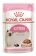 ROYAL CANIN Alimento Úmido Royal Canin Filhotes 1