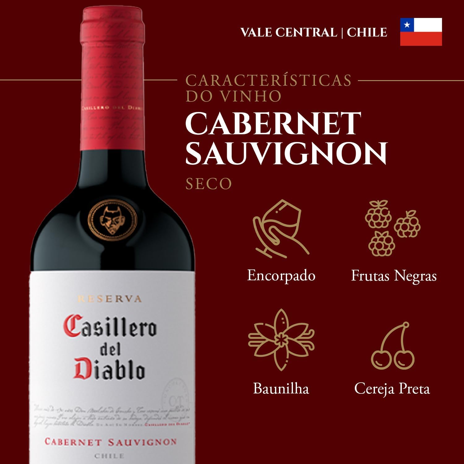 Vinho Casillero del Diablo Carbenet Sauvignon 4