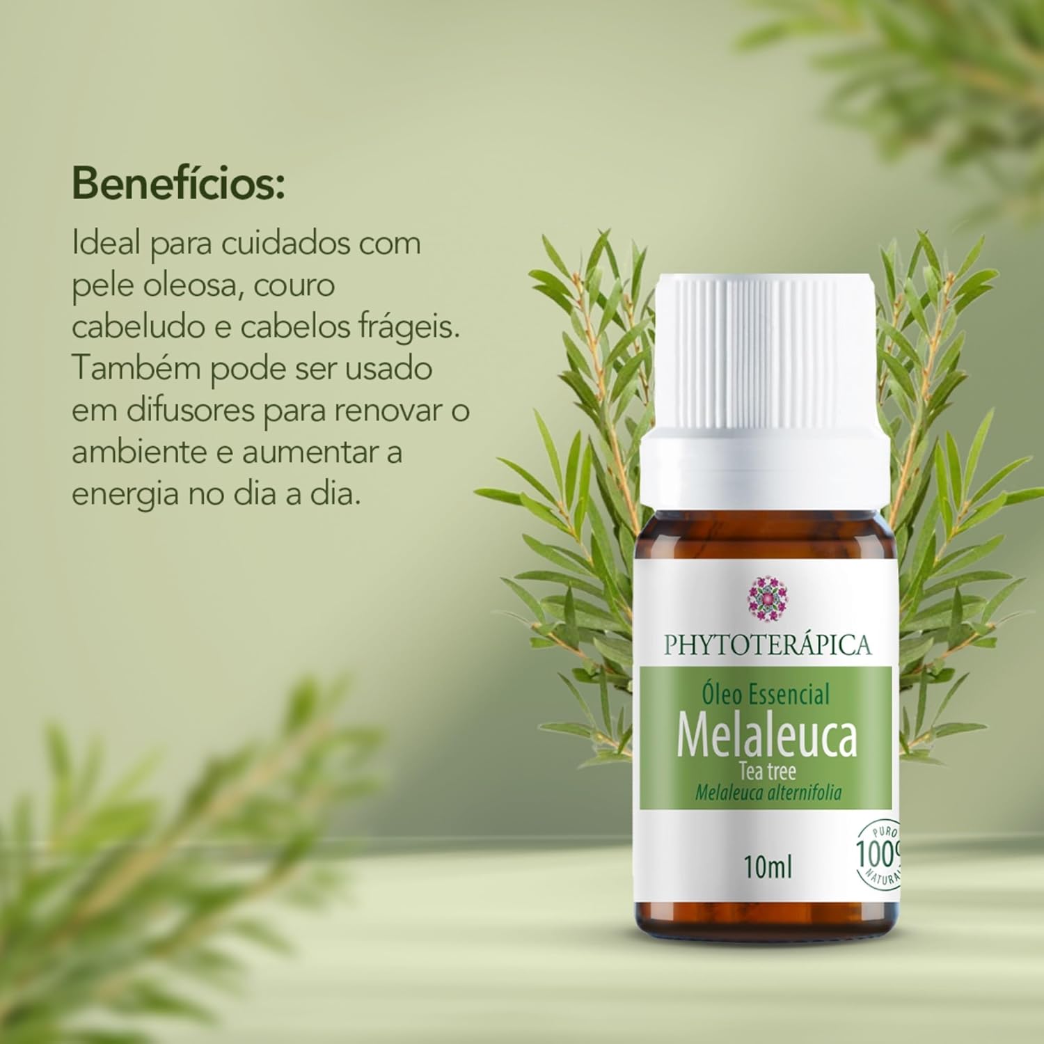 Óleo Essencial de Melaleuca (Tea Tree) 4