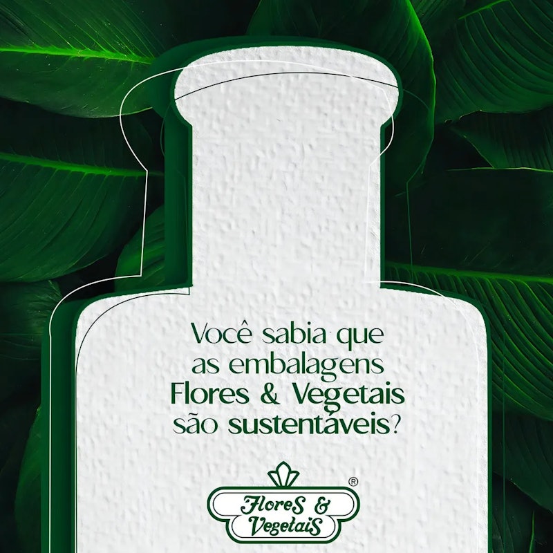 Shampoo Chá Verde & Gengibre Detox 2