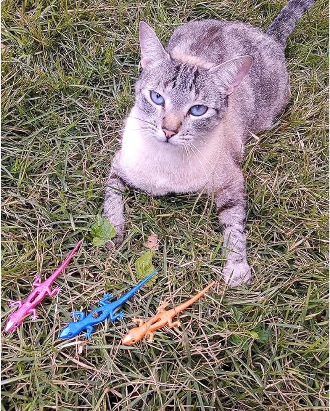 Brinquedo para Gatos Lagartixas 5
