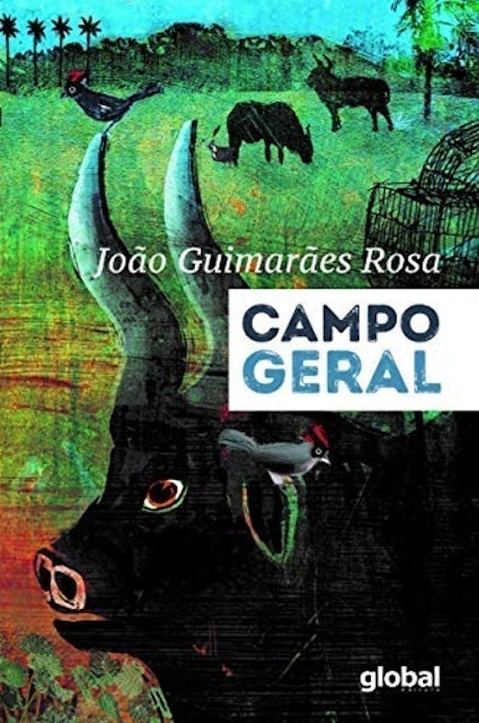 Campo Geral 1
