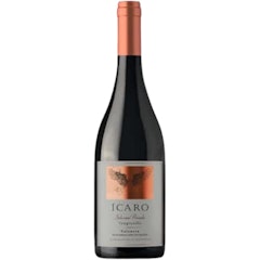 Ícaro Selección Privada Tempranillo