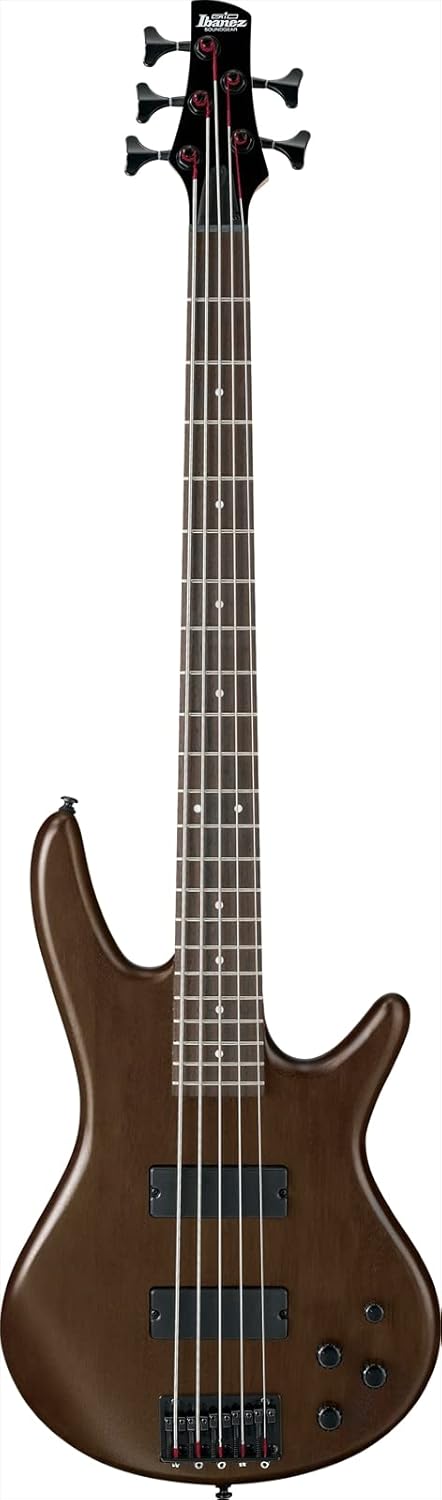 Baixo 5 Cordas Ibanez 1