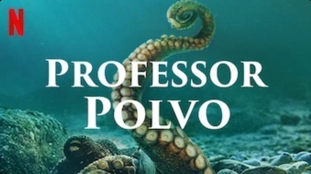 Professor Polvo (2020) 1