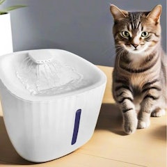 Fonte de Água para Pet