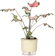 RAIZ Vaso Autoirrigável Médio N03 16 x 14 cm - Terrazzo Calcário 1