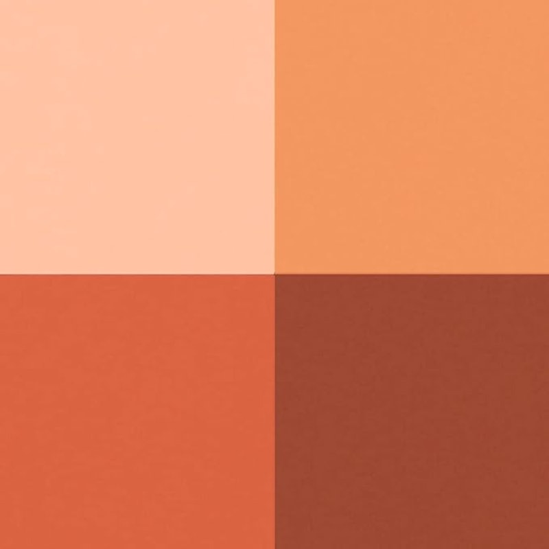 Paleta Contornos Fran By Franciny Ehlke Your Browns 3