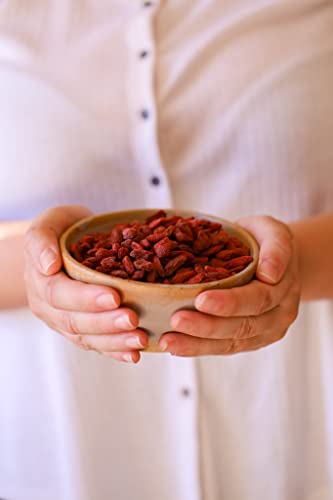 Goji Berry Desidratado Brasil Frutt 4
