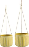 Top 10 Melhores Vasos para Suculentas para Comprar 5