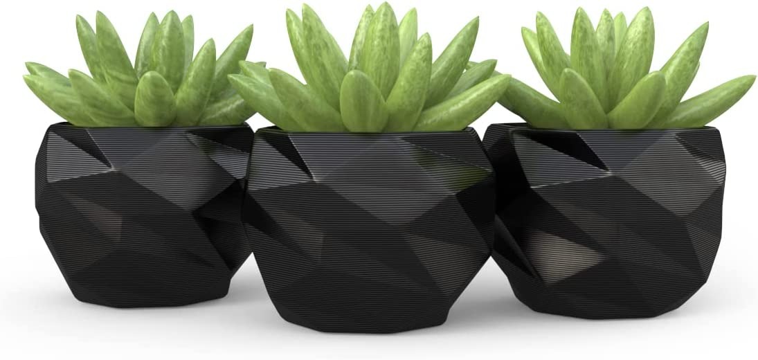 Top 10 Melhores Vasos para Suculentas para Comprar 4