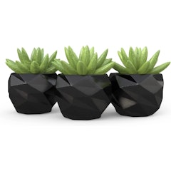 Kit Vaso Para Suculentas Mini Mesh