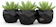 SCULPY Kit Vaso Para Suculentas Mini Mesh 1