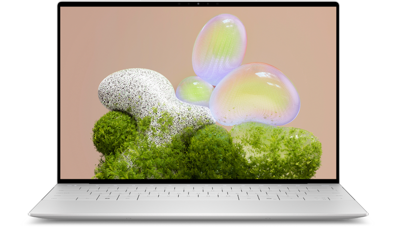Dell 5