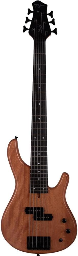 Contrabaixo Passivo 6 Cordas XB-21 2