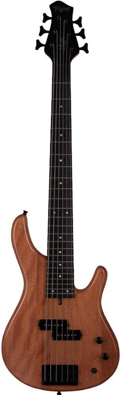 Contrabaixo Passivo 6 Cordas XB-21 2