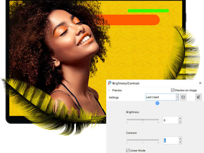 PaintShop Pro 1