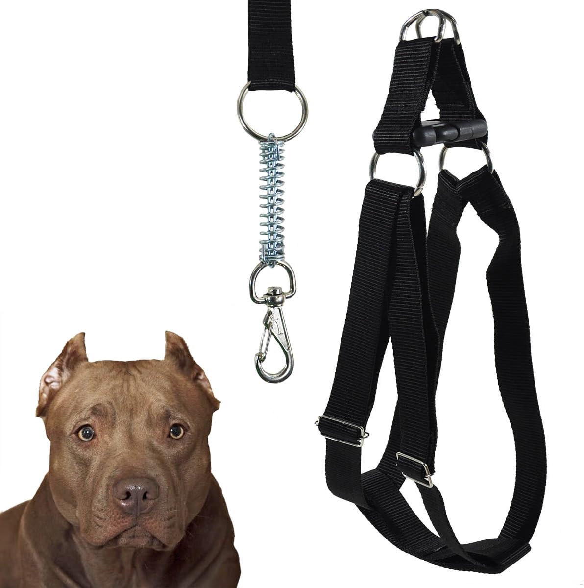Coleira Peitoral Americana com Guia para Cães de Grande Porte 1