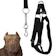 PETIZADA Coleira Peitoral Americana com Guia para Cães de Grande Porte 1