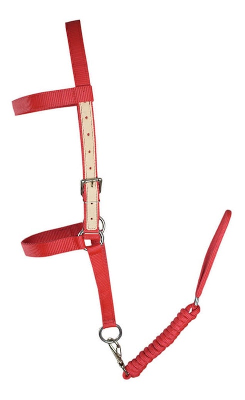 Cabresto de Seda para Cavalo SV5441 2