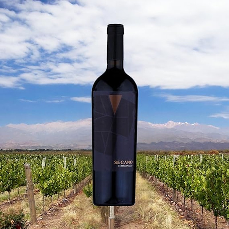 Vinho Secano Tempranillo Place Maters 3