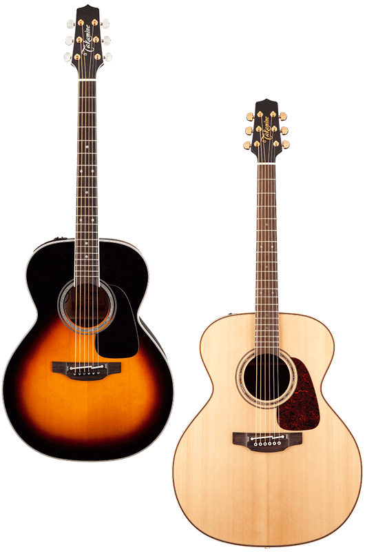 Takamine 2