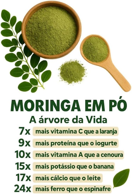 Moringa em Pó 100% Pura Origem Verde 5