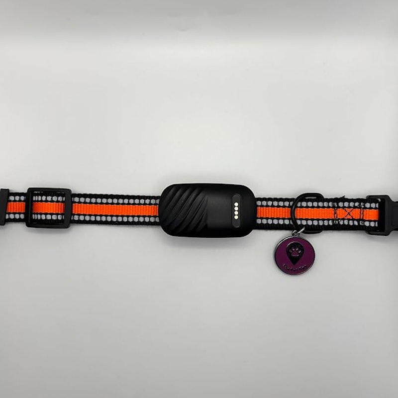 Coleira Rastreadora GPS para Cães e Gatos 3