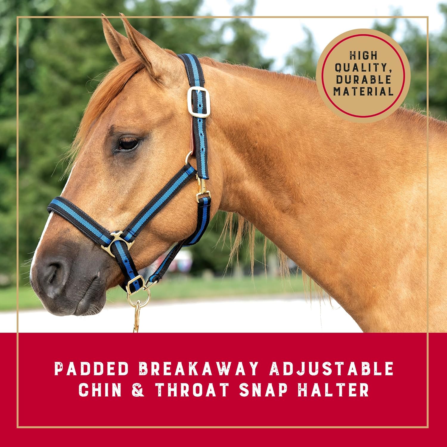 Cabresto Acolchoado com Sistema Breakaway 3