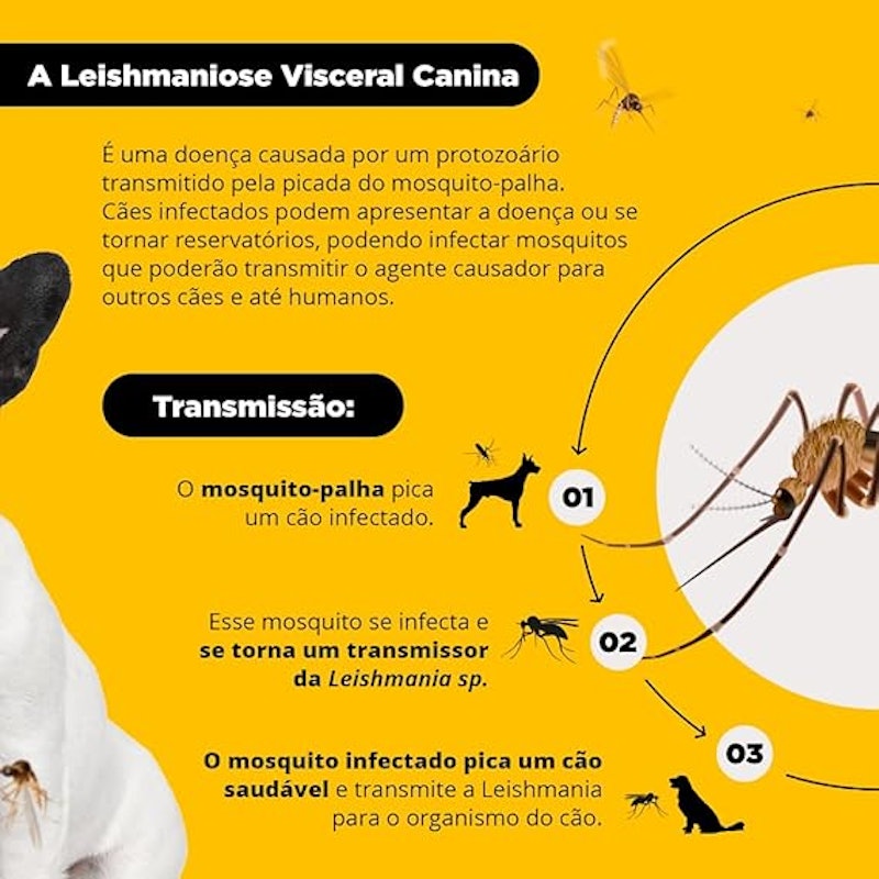 Coleira Antiparasitária para Cães Scalibor 3