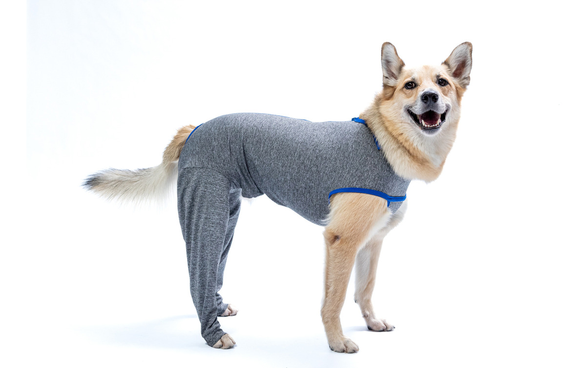 Roupa Pós-Cirúrgica Membro Posterior Pet Nº 7/8 10 a 17 kg 5