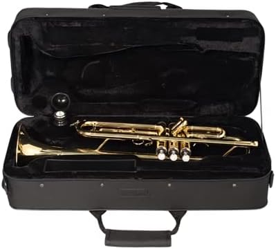 Trompete VSTR701N 2