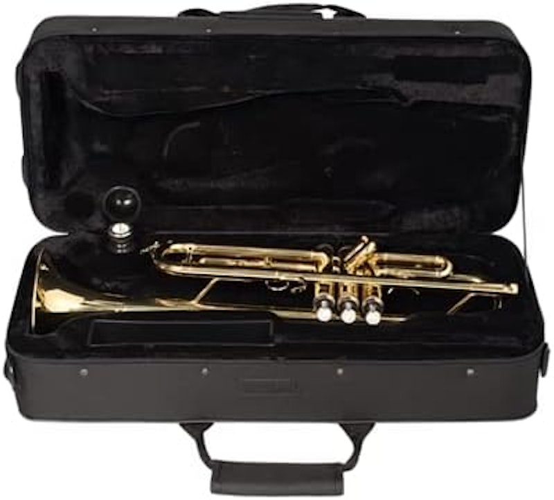 Trompete VSTR701N 2