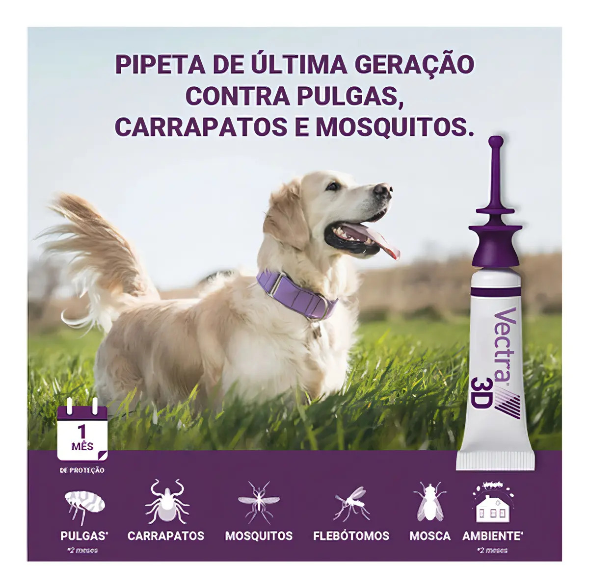 Vectra 3D para Cães 4