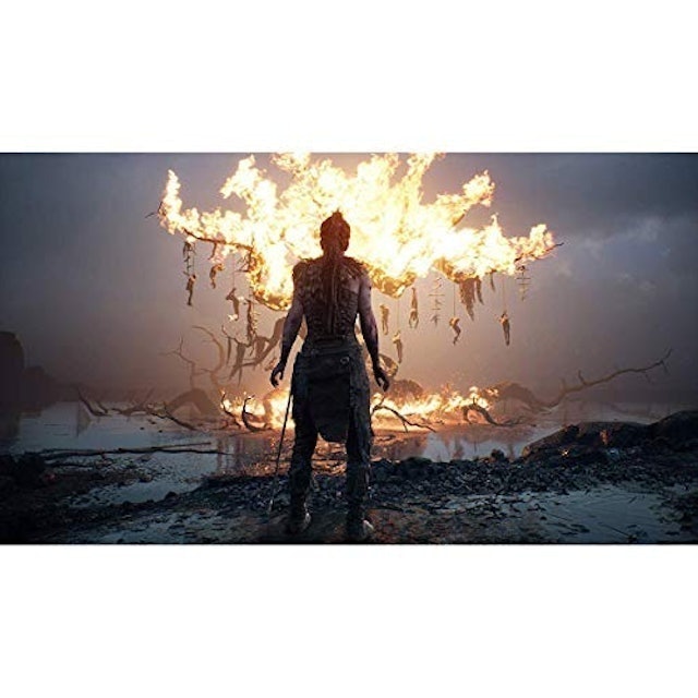 Hellblade: Senua's Sacrifice (2018) 4