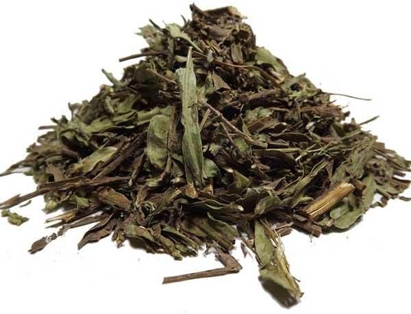Chá de Carqueja Amarga 1