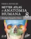 Frank Netter Netter Atlas de Anatomia Humana 1