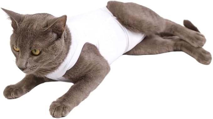 Roupa para Gato Pós-Cirúrgica Castração 1