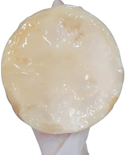 Scoby Premium Kombucha Starter com Manual de Cultivo 1