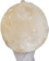 KULTI Scoby Premium Kombucha Starter com Manual de Cultivo 1