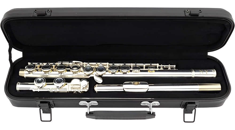 Flauta Transversal FL 210ES Prateada com Case 5