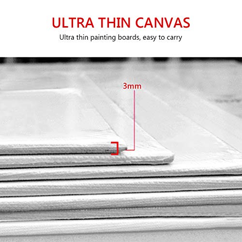 Kit de Lonas para Pintura 3