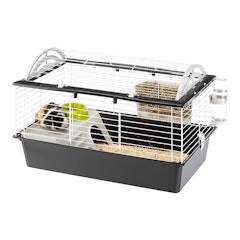 Gaiola para Coelhos e Porquinhos da Índia Casita 80