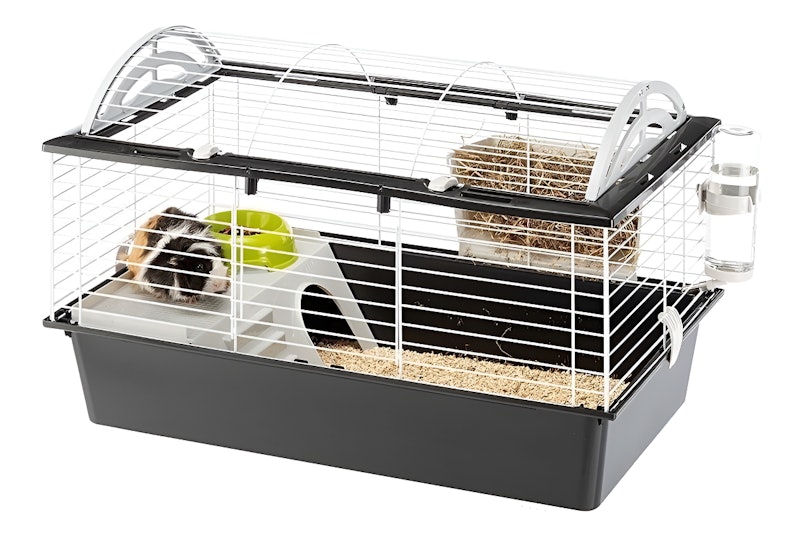 Gaiola para Coelhos e Porquinhos da Índia Casita 80 1